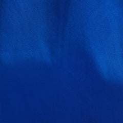 Team Logo Twill Fitted Shirt Men - ULTRAMARINE/WHITE