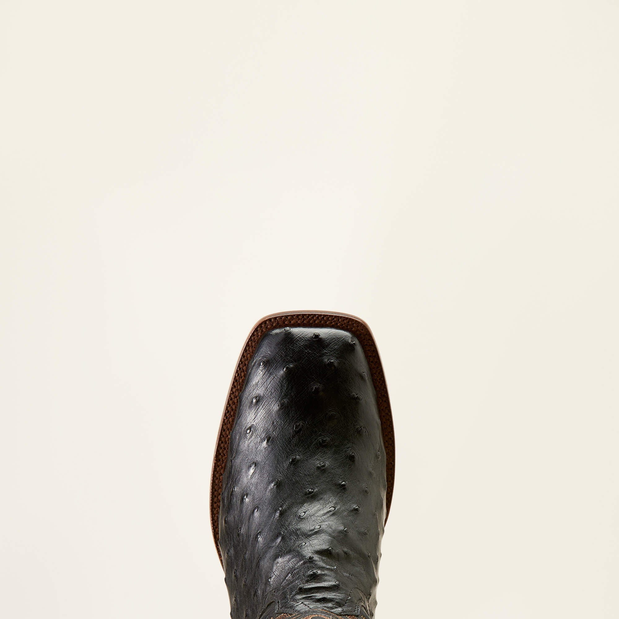 Bench Made Bassett Western Boot Men - BLACK FULL QUILL OSTRICH