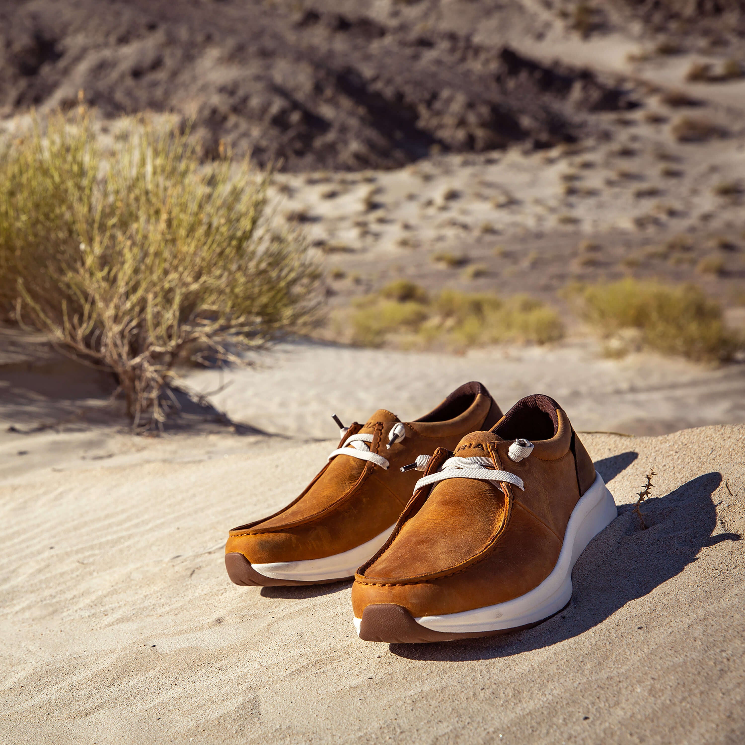 Buckeye Waterproof Shoe Men - SUNSET WHEAT/DARK COFFEE