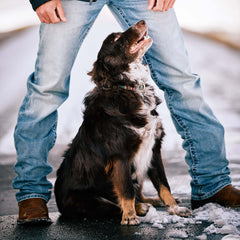 M2 Relaxed Stirling Stretch Boot Cut Jean Men - SHASTA