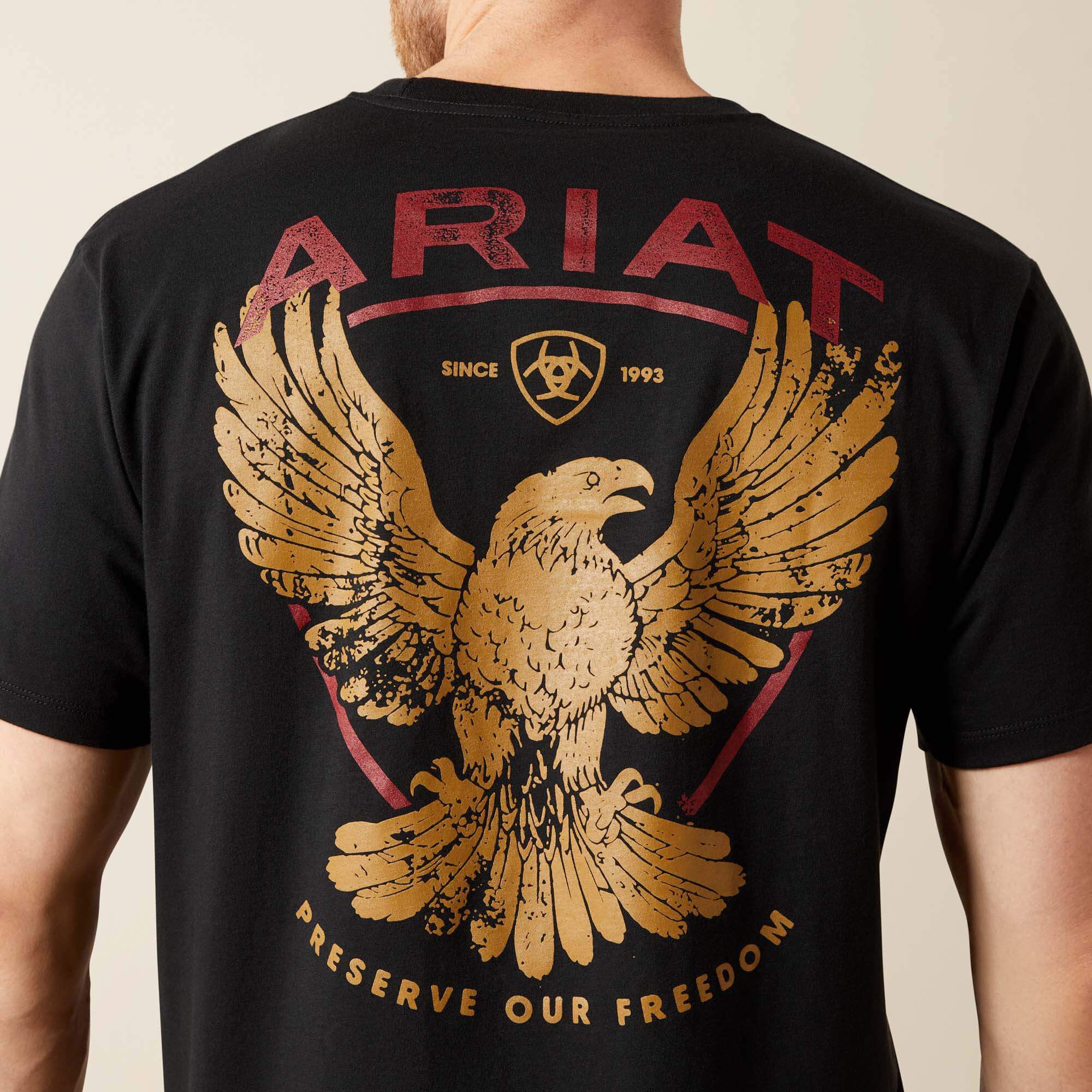 Ariat Rustic Eagle T-Shirt Men - BLACK