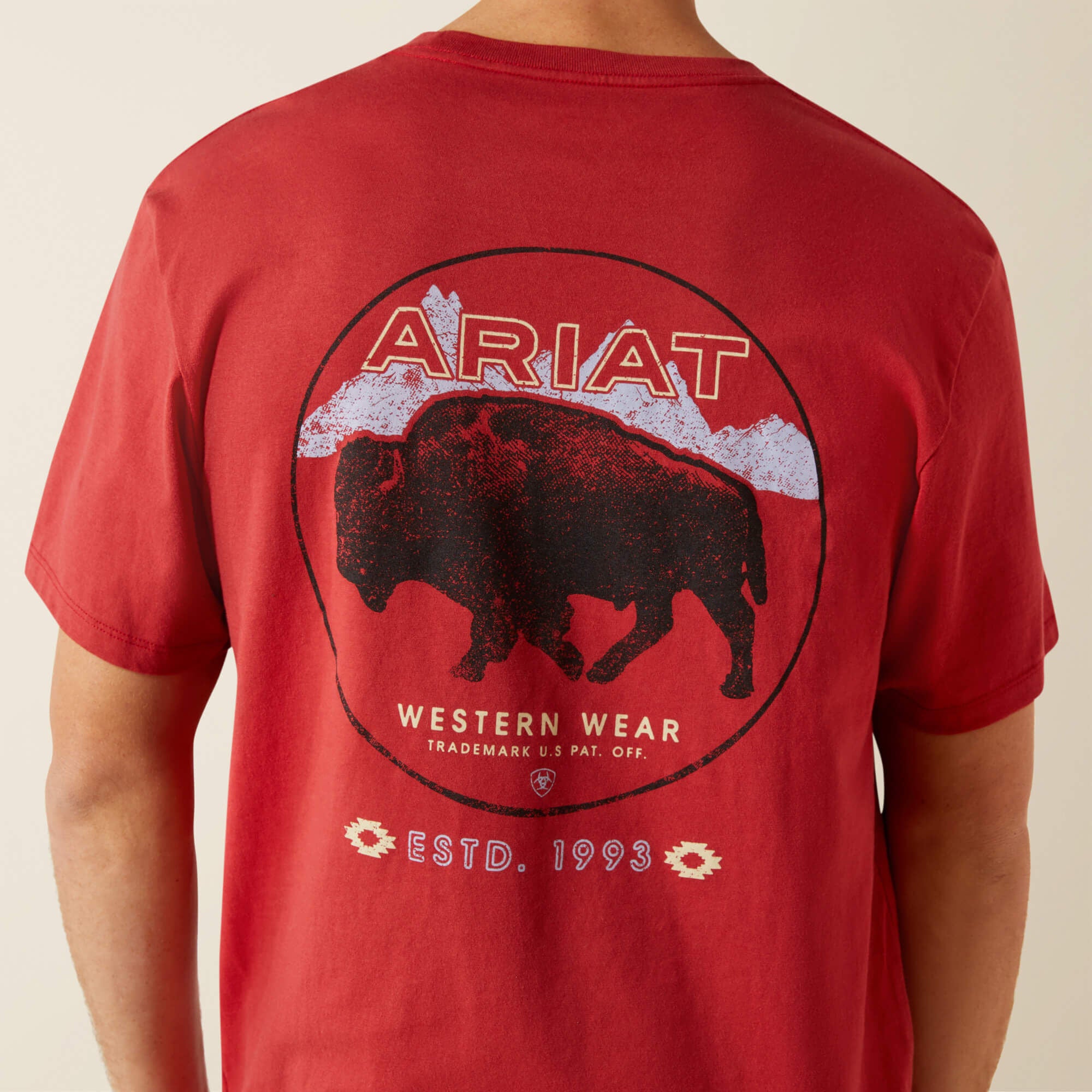 Ariat Patriot Buffalo Coin T-Shirt Men - BRICK RED