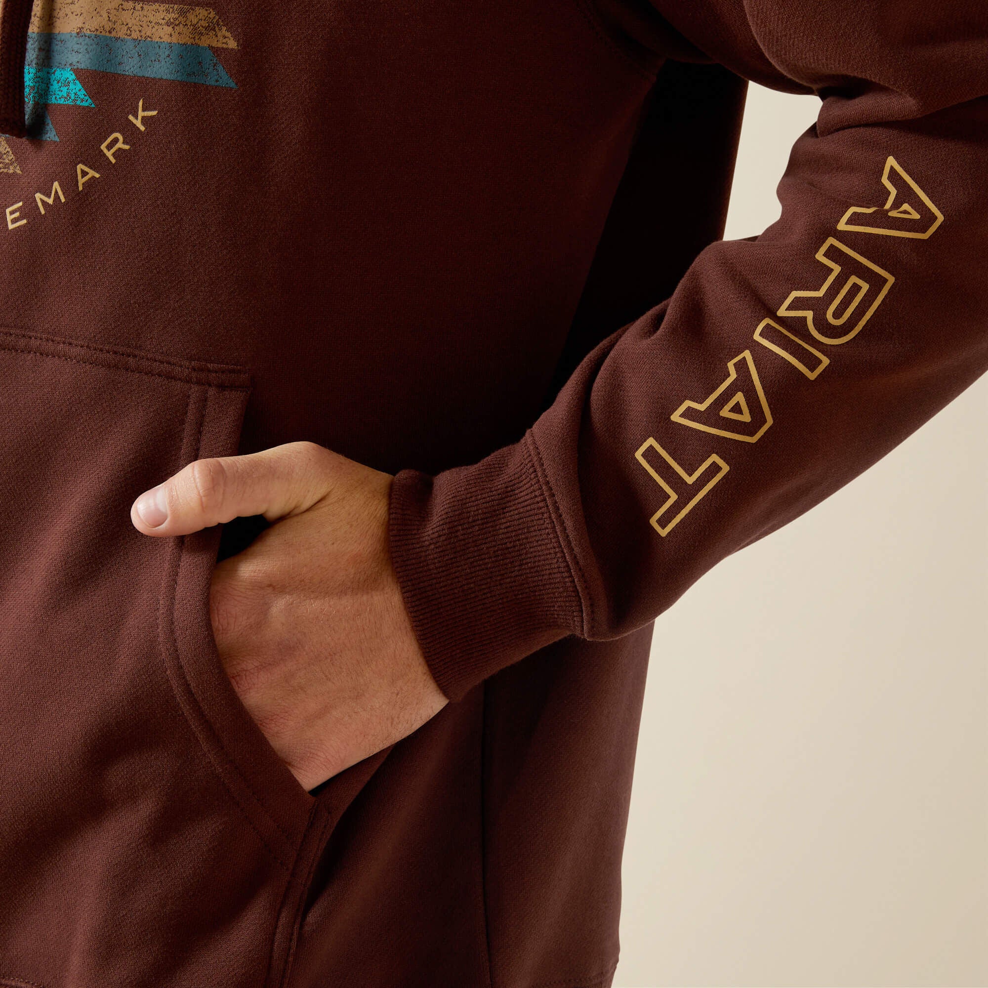 Ariat Carlsbad Canyon Hoodie Men - BROWN