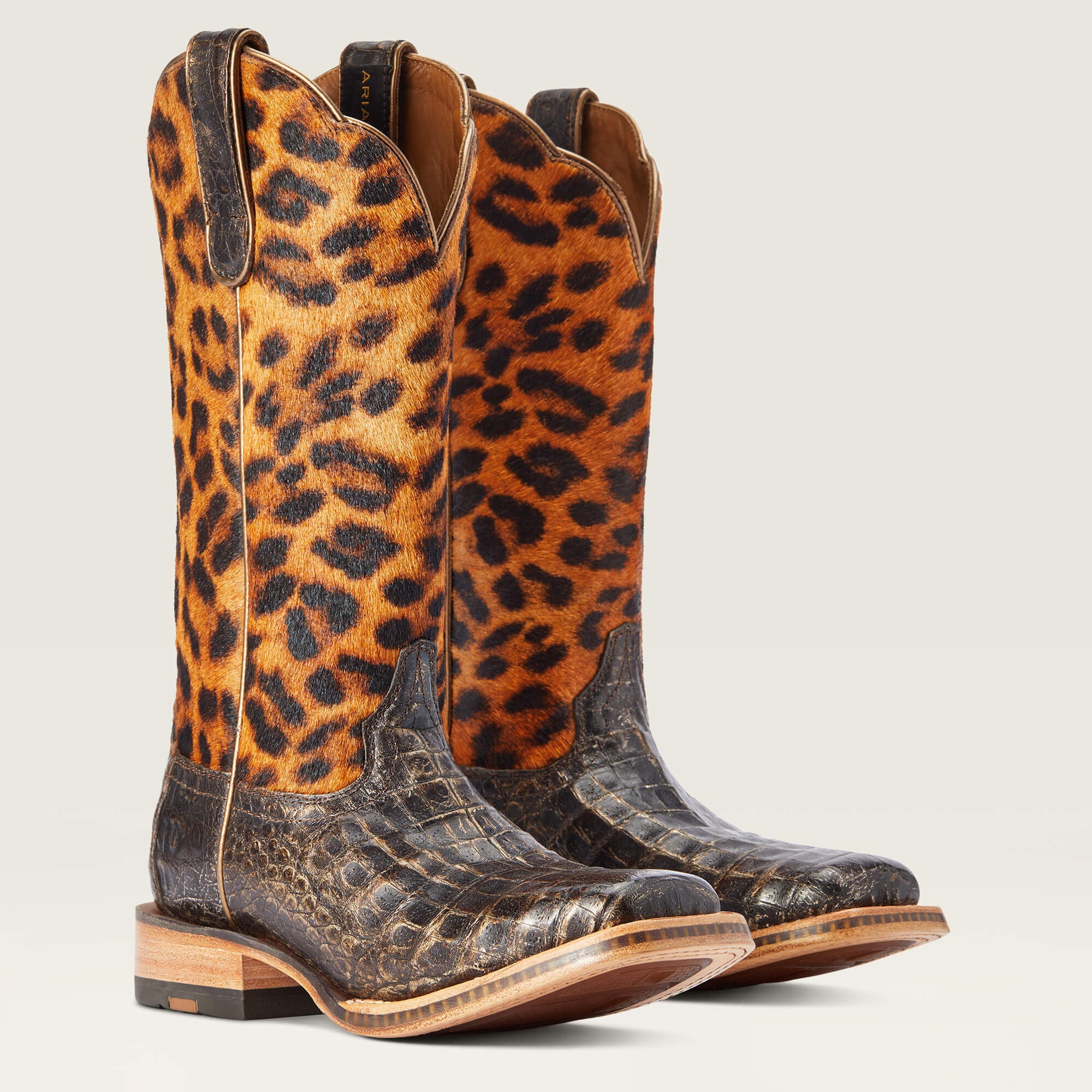 Donatella Western Boot Women - BRUSHED CHOCOLATE CAIMAN BELLY