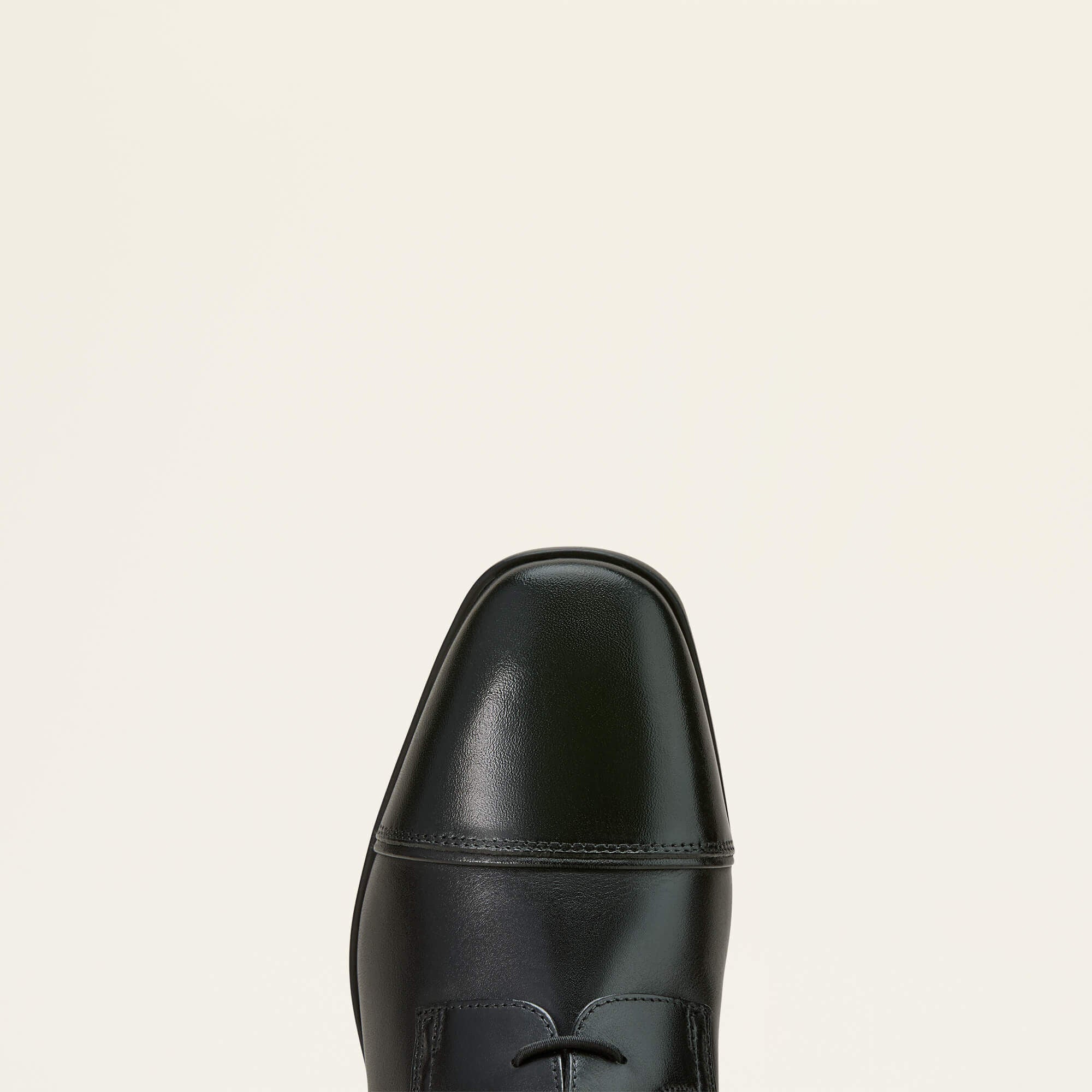 Palisade Field Tall Riding Boot Women - BLACK