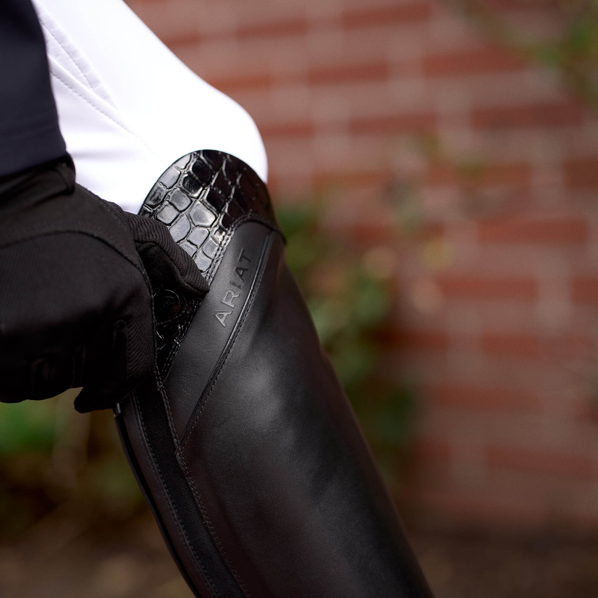 Palisade Show Tall Riding Boot Women - BLACK/BLACK CROC PRINT